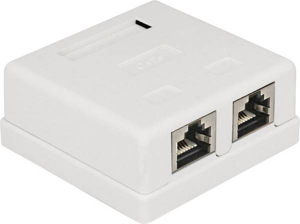 Delock 86269 Gniazdo sieciowe podtynkowy wkład z płytką centralną i ramką CAT 6 2 Porty biały