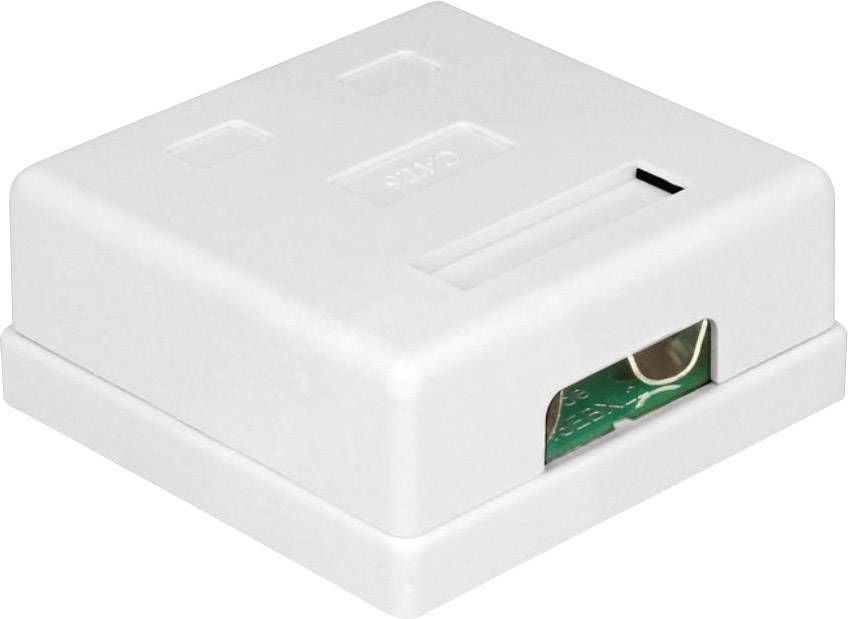 Delock 86269 Мережева розетка для прихованого монтажу з центральною пластиною та рамкою CAT 6 2 порти, біла