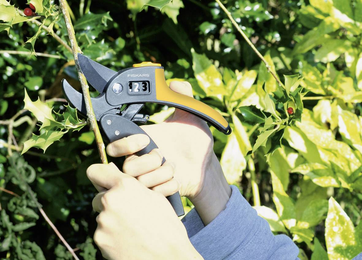 Osoba przycina gałąź sekatorami. Sekatory są pomarańczowo-czarne i trzymane są przez dwie ręce. W tle widoczne są zielone liście.