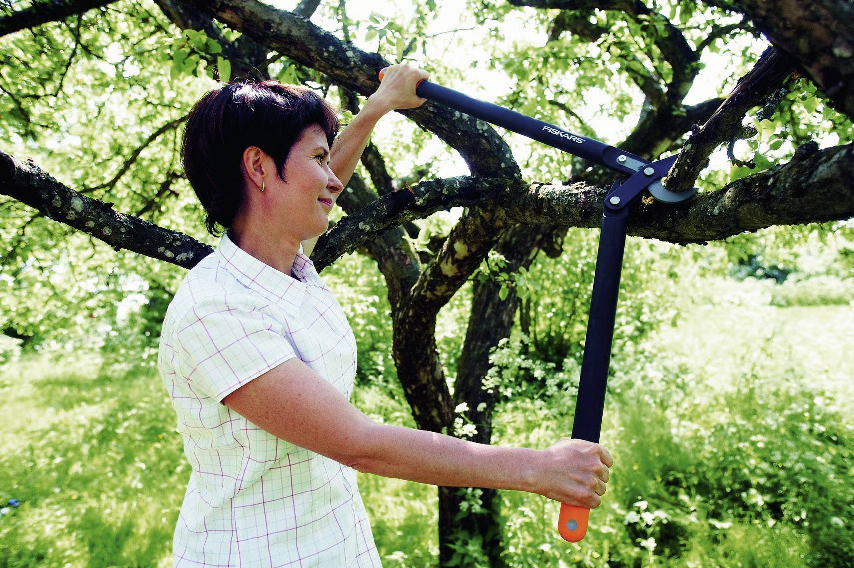 Kobieta przycina gałęzie sekator nożycowym w słonecznym ogrodzie. Ma na sobie koszulę w kratę.