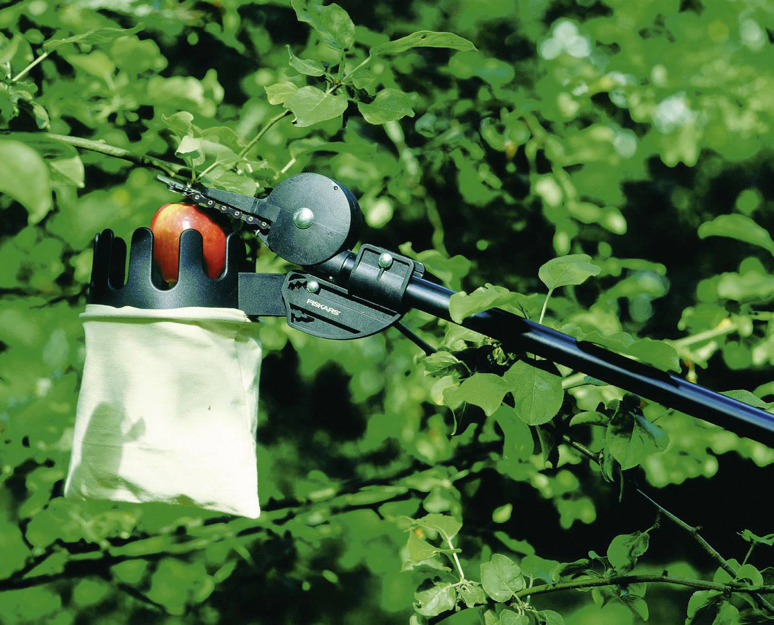 Збирач фруктів Fiskars 1001562 Fiskars 1001562