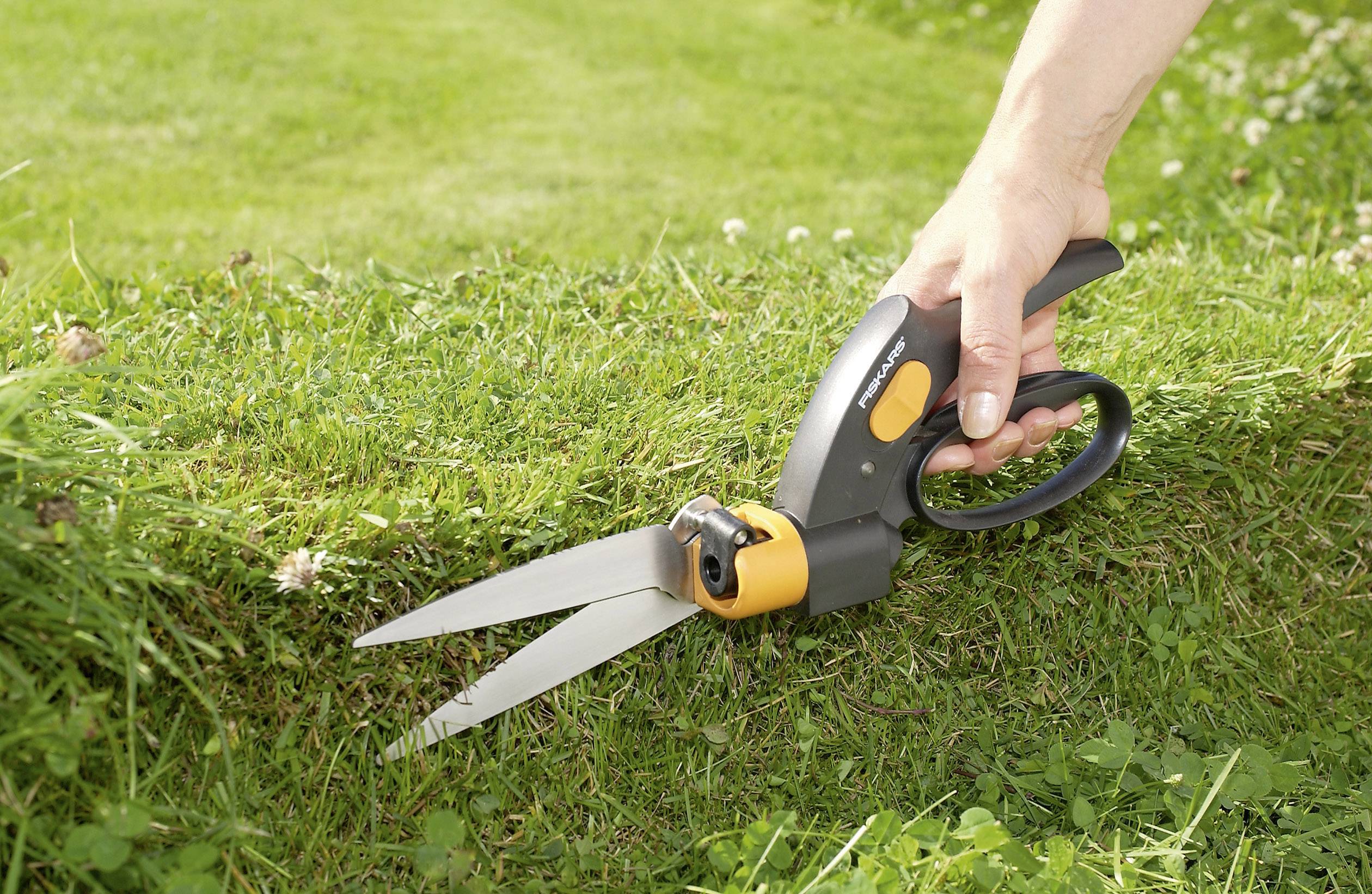 Dłoń trzyma nożyce do trawy i przycina krawędź trawnika. W tle widać zieloną trawę.