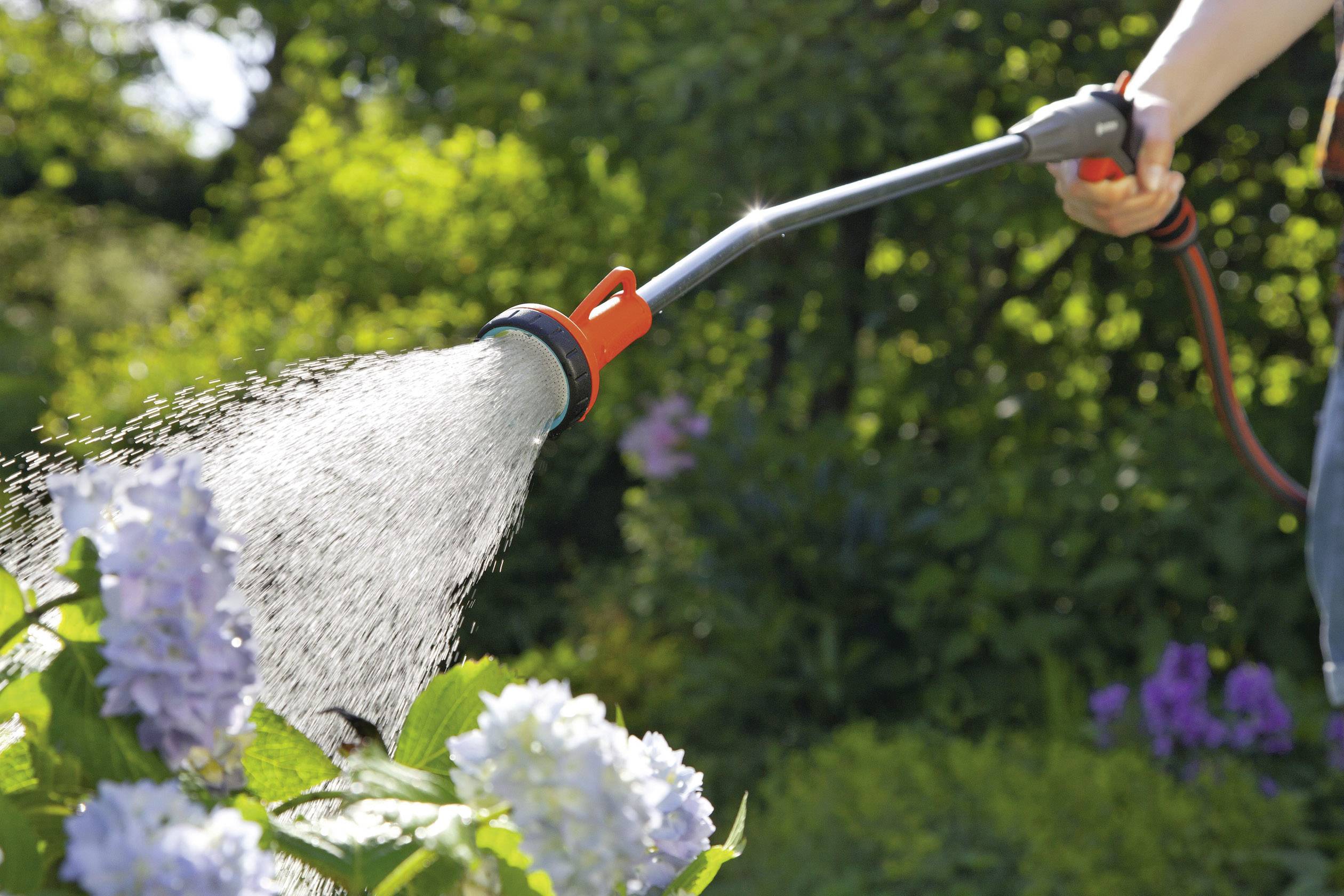 Osoba podlewa kwiaty wężem ogrodowym. Na pierwszym planie widoczne są fioletowe kwiaty, w tle zielenieją rośliny.