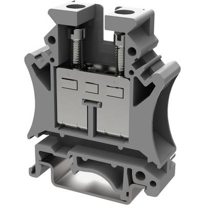 Elektryczny blok zaciskowy w przekroju, przedstawiający wewnętrzne mechanizmy metalowe oraz dwie śruby do mocowania połączeń kablowych.
