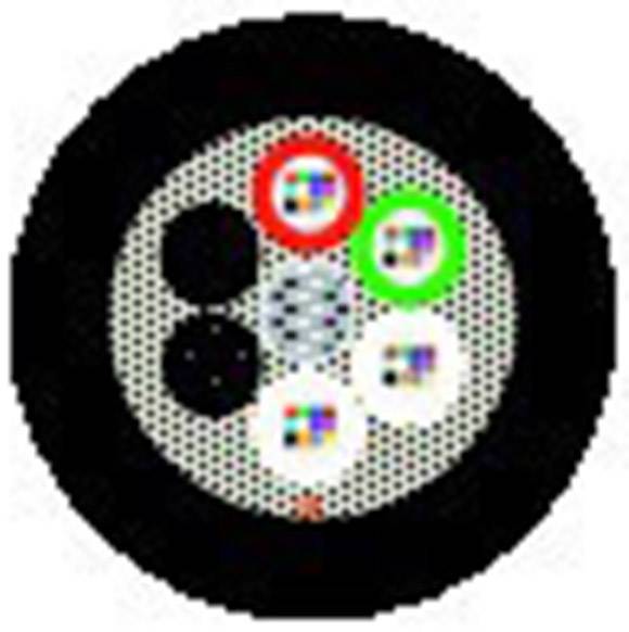 Wskaźnik dojrzałości: Okrągły wzór z pięcioma mniejszymi pierścieniami w różnych kolorach na czarnym tle.