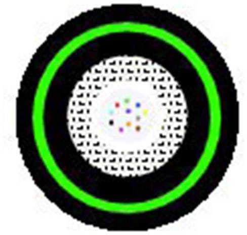 Czarno-zielony okrąg z kolorowym wzorem punktowym w środku. Obraz jest dekoracyjny i abstrakcyjny.