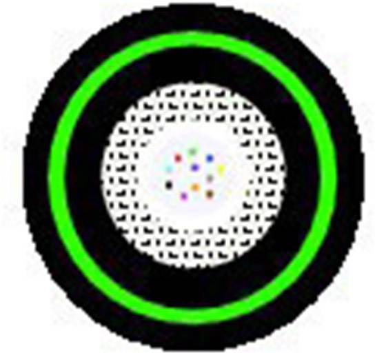 Czarny okrąg z zielonym pierścieniem; wewnątrz wzór z kropek, w centrum kolorowe punkty.