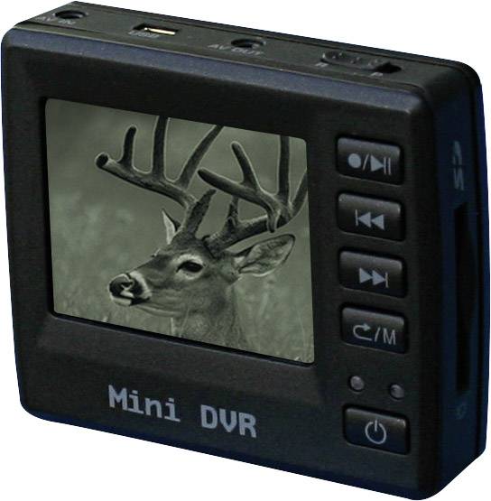 Mały rejestrator DVR z ekranem wyświetlającym obraz jelenia z dużymi porożami.