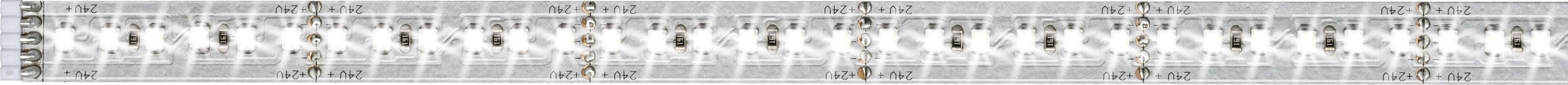 Подовжувач світлодіодної стрічки Paulmann MaxLED 1000 70569 1 м 24 В