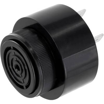 Czarny, cylindryczny adapter wtykowy z dwoma metalowymi bolcami. Odpowiedni do łączenia urządzeń z gniazdkami elektrycznymi.
