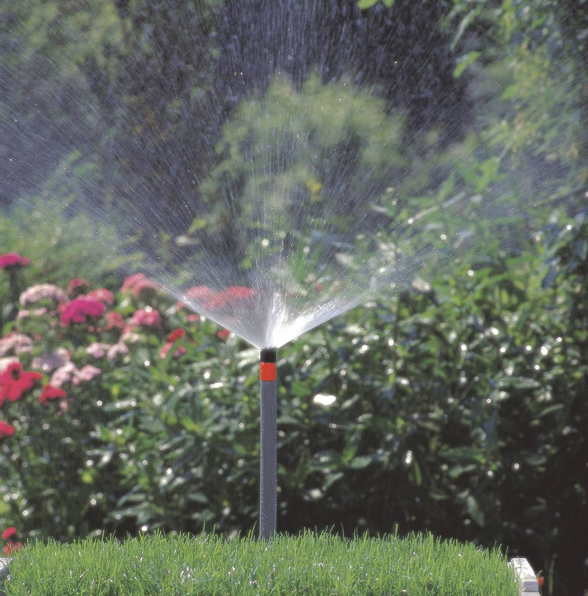 Zraszacz nawadnia zielony trawnik, otoczony różowymi kwiatami i drzewami w tle w słoneczny dzień.
