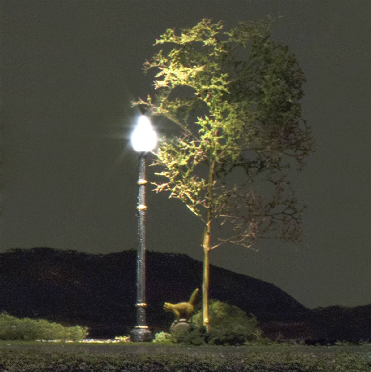 Mały drzewka obok świecącej latarni ulicznej w nocnym krajobrazie z ciemnymi wzgórzami w tle.