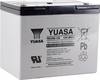 Akumulator ołowiowy Yuasa REC80-12 YUAREC8012, AGM, 12 V, 80 Ah