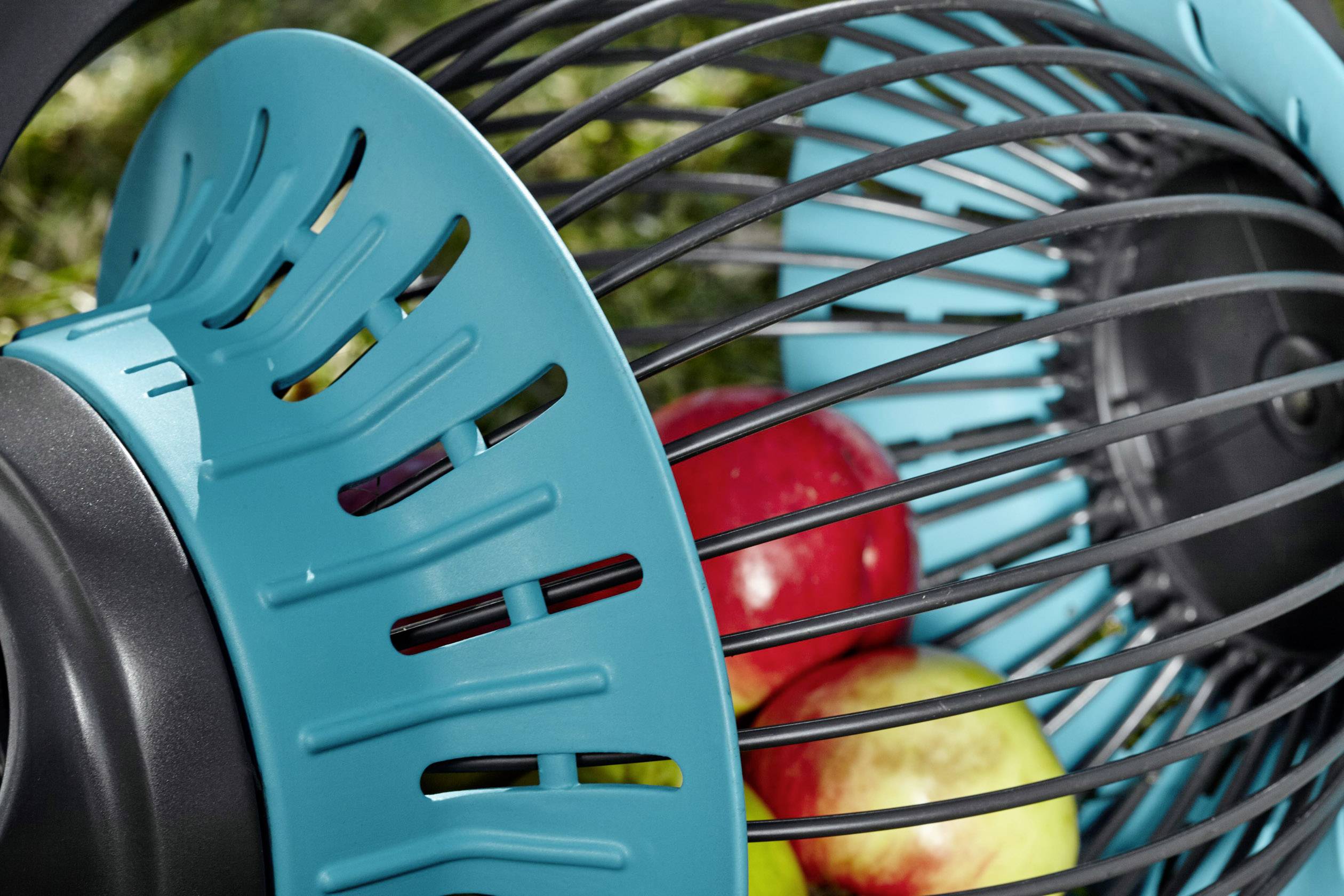 Narzędzie ogrodnicze z niebieskimi plastikowymi poprzeczkami trzyma czerwone i żółte jabłka. Jest przeznaczone do zbierania i transportu owoców.