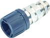 Złącze śrubowe do węża EMV LAPP SILVYN® KSE-M 16x1,5/1 BK 55507105, 10 szt.