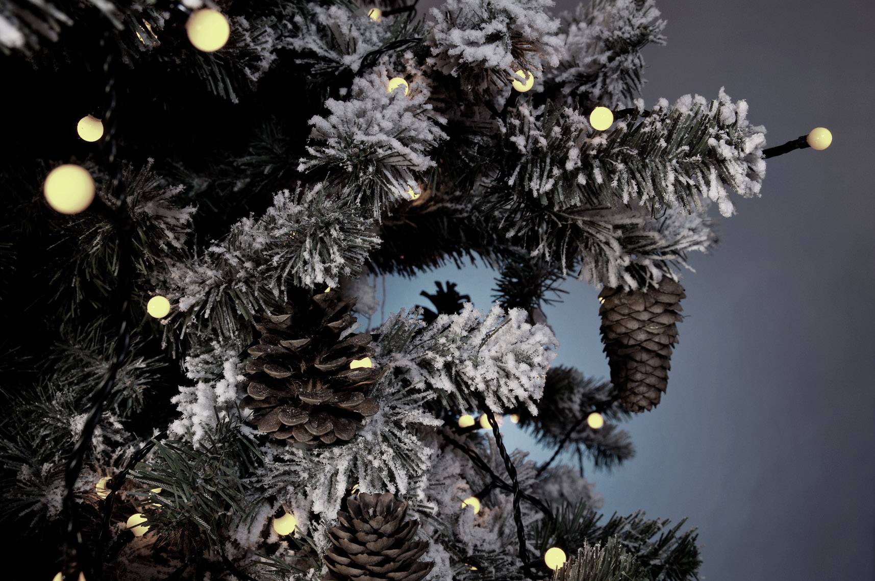 Ośnieżona choinka z lampkami i szyszkami w centrum, na niebieskim tle. Klimatyczna i świąteczna.