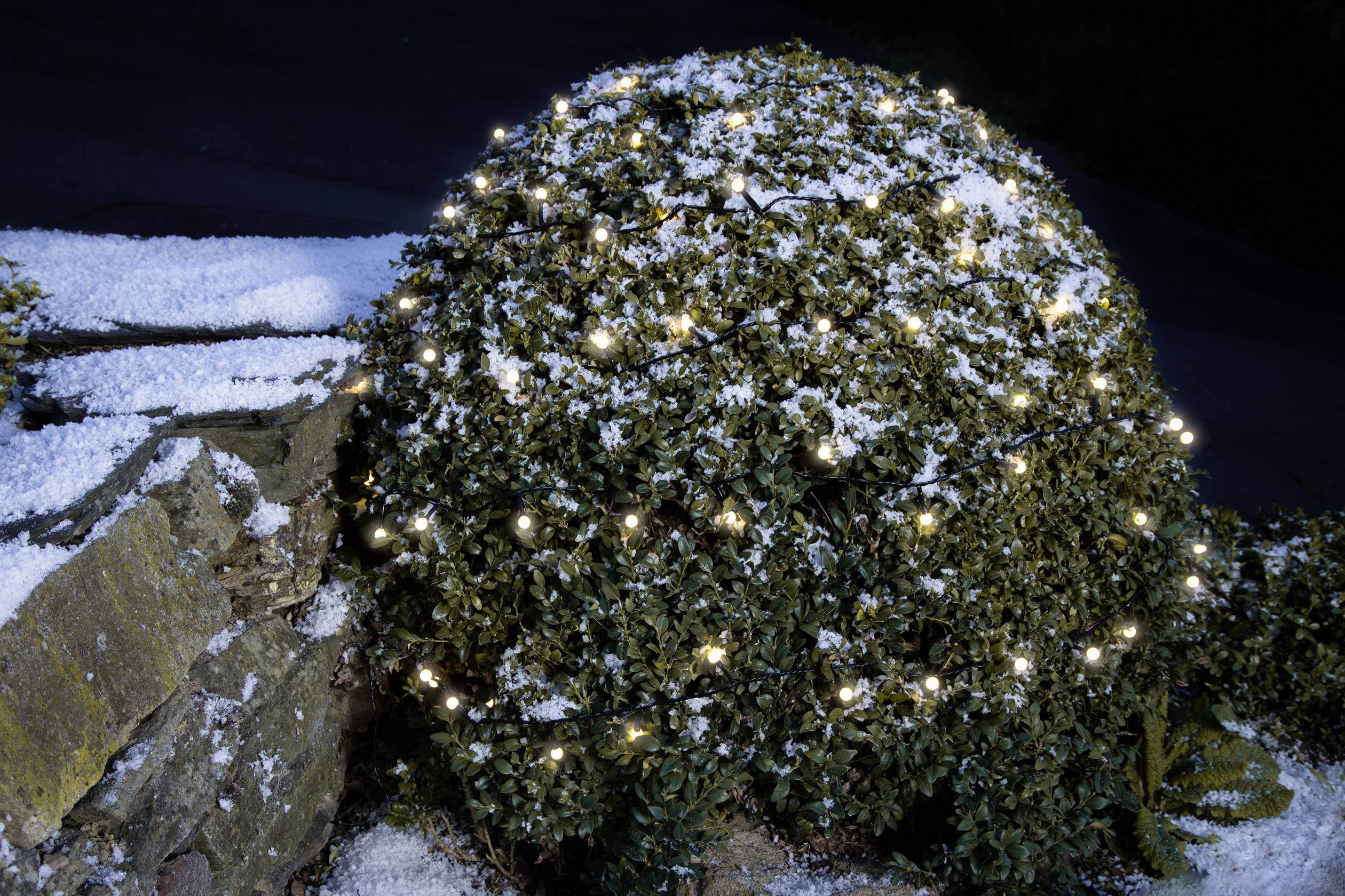 Krzew pokryty śniegiem jest ozdobiony małymi światełkami. W tle leży dodatkowa warstwa śniegu na ziemi.