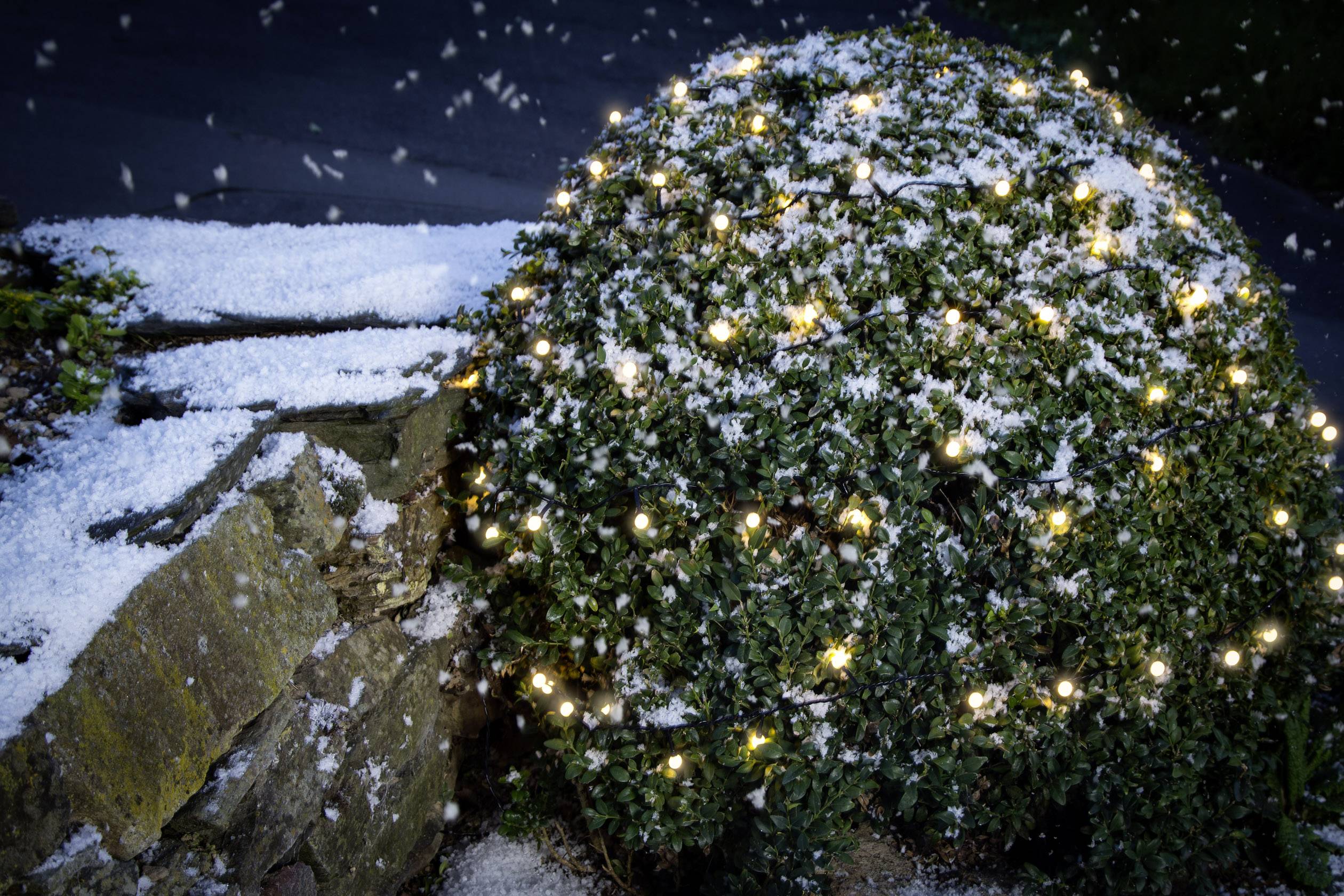 Krzew pokryty śniegiem, ozdobiony małymi, świecącymi światełkami. Na tle padają płatki śniegu.