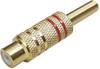 BKL Electronic 0101202 Złącze męskie RCA/Cinch, złocony, 4 szt.