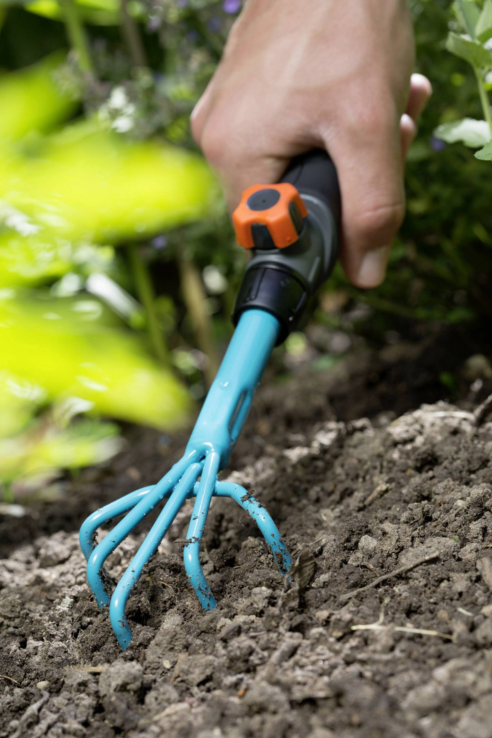 Dłoń używa małej, niebieskiej kultywatora do spulchniania ziemi w grządce. W tle widoczne są zielone rośliny.