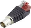 Złącze BNC Conrad Components 93014c1023 złącze żeńskie proste 50 Ω 1 szt.