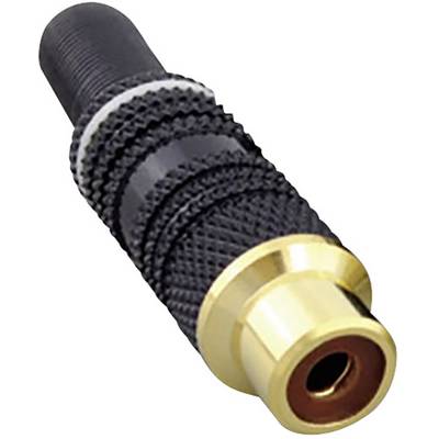 Czarno-złoty adapter wtykowy z żebrowanym uchwytem i metalową obudową, odpowiedni do urządzeń audio.