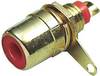 TRU COMPONENTS 1577826 Złącze męskie RCA/Cinch, złocony, 1 szt.