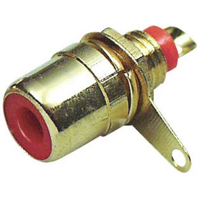 Złocony wtyk RCA z czerwoną końcówką. Używany do przesyłania sygnałów audio i wideo podczas podłączania urządzeń elektronicznych.