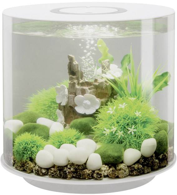 Akwarium akrylowe Oase biOrb TUBE 15 LED weiß 72063, z Podświetleniem LED, 15 l, (Ø x W) 328 mm x 315 mm
