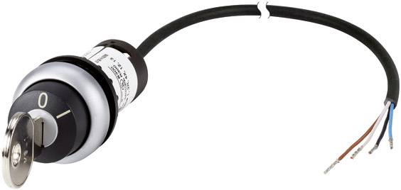 Eaton 186263 C22-WRS-MS1-K10-P62 Ключовий вимикач чорний 1 x поворот ключа 60° 1 шт.