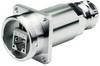 Telegärtner 100007385 Złącze RJ45, RJ45, CAT 6a, piny:8, 1 szt.