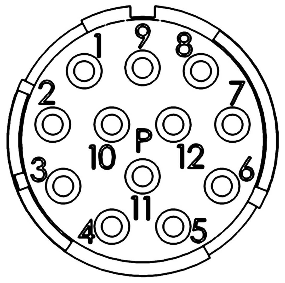 Diagram 12-pinowego złącza, ponumerowane piny od 1 do 12 oraz pin środkowy P. Przedstawia rozmieszczenie pinów.