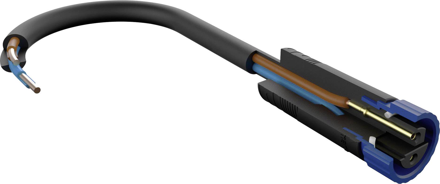 Trzybiegunowy kabel z odkrytym wnętrzem ukazuje swoją strukturę wewnętrzną i kończy się niebieskim oraz czarnym złączem na jednym z końców.