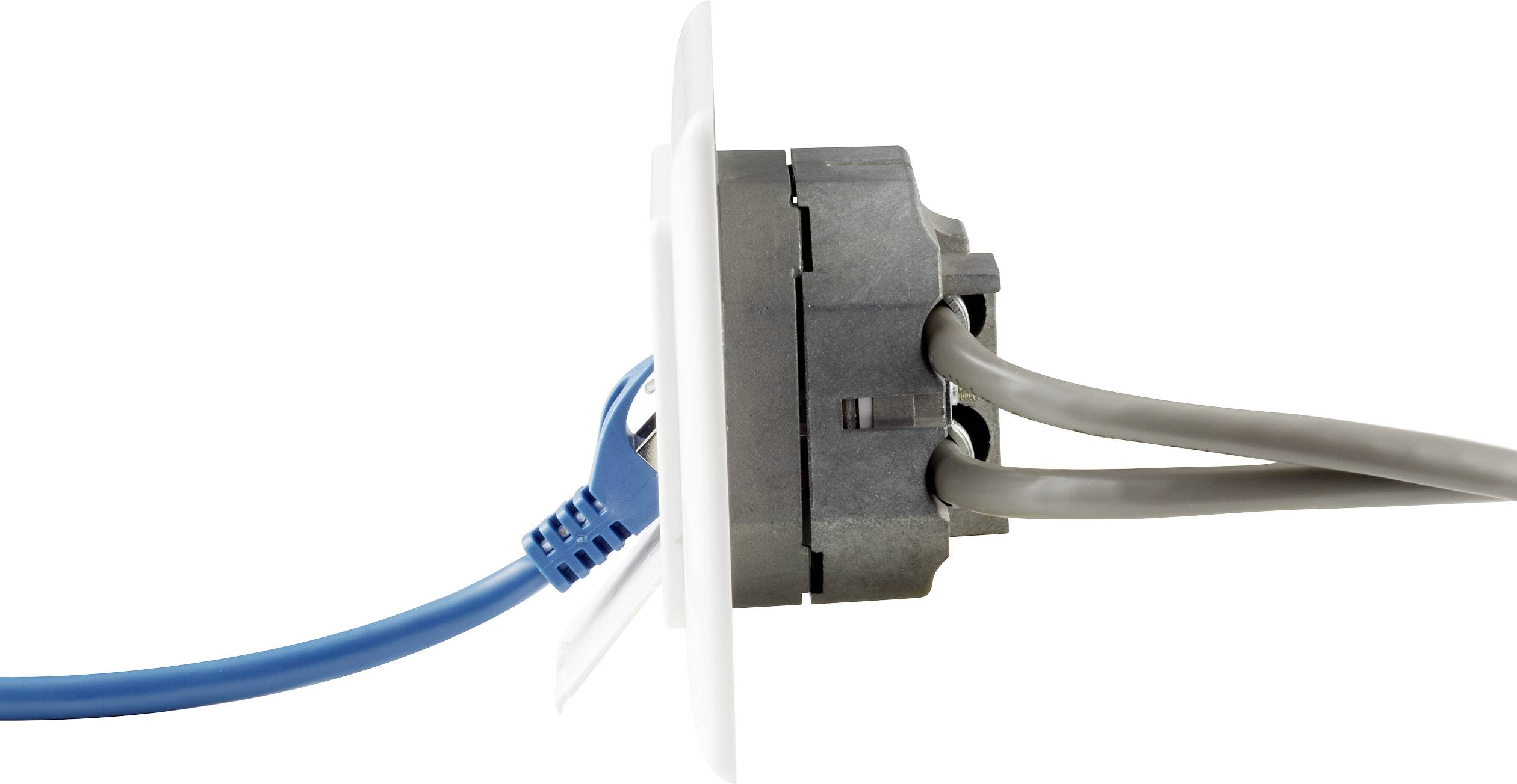 Przekrój gniazda elektrycznego: Niebieskie złącze kabla sieciowego po prawej stronie, szare przewody po lewej, pokazujący wewnętrzne okablowanie.