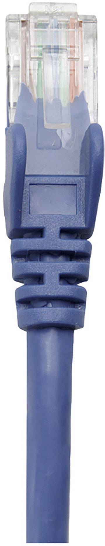 Niebieski wtyk kabla Ethernet z widocznymi kolorowymi przewodami w środku, używany do połączeń sieciowych.