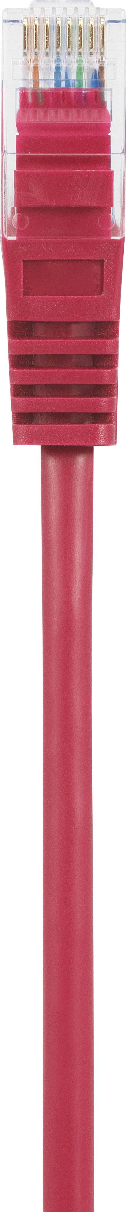 Czerwony kabel Ethernet z przezroczystą wtyczką, używany do połączeń sieciowych.