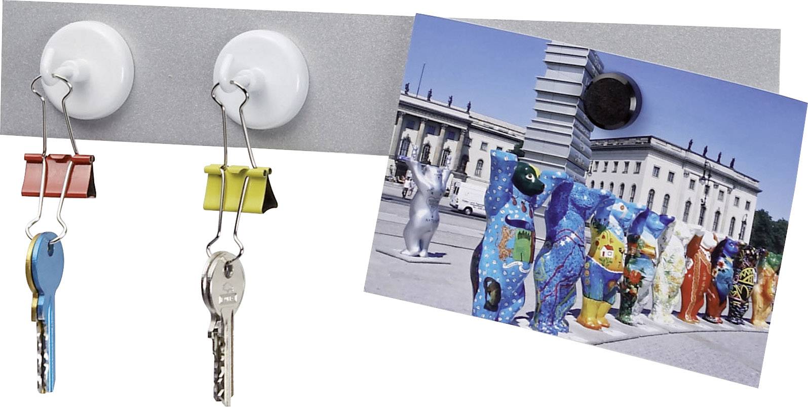 Магнітний молоток (Ø x В) 36 мм x 36 мм 5 шт.