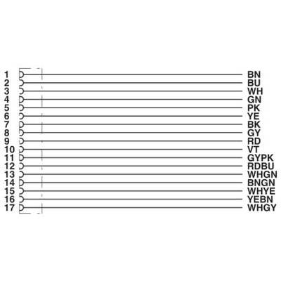 Diagram numerowanych przewodów (1-17) z oznaczeniami kolorów: BN, BU, WH, GN, PK, YE, BK, GY, RD, VT, GYPK, RDBU, WHGN, BNGN, WHYE, YEBN, WHGY.
