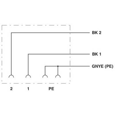 Schemat elektryczny przedstawia trzy przewody: 'BK 2', 'BK 1', 'GNYE (PE)', połączone w punktach '2', '1', 'PE'.