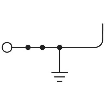 Elektroniczny symbol schematyczny przedstawia przewód z połączeniem do ziemi/masy. Linia posiada kilka rozgałęzień, oznaczając punkt masy.