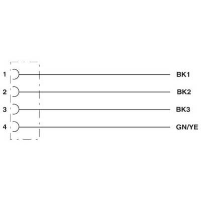 Diagram przedstawia cztery numery kabli z przyporządkowaniem: 1 do BK1, 2 do BK2, 3 do BK3, 4 do GN/YE.