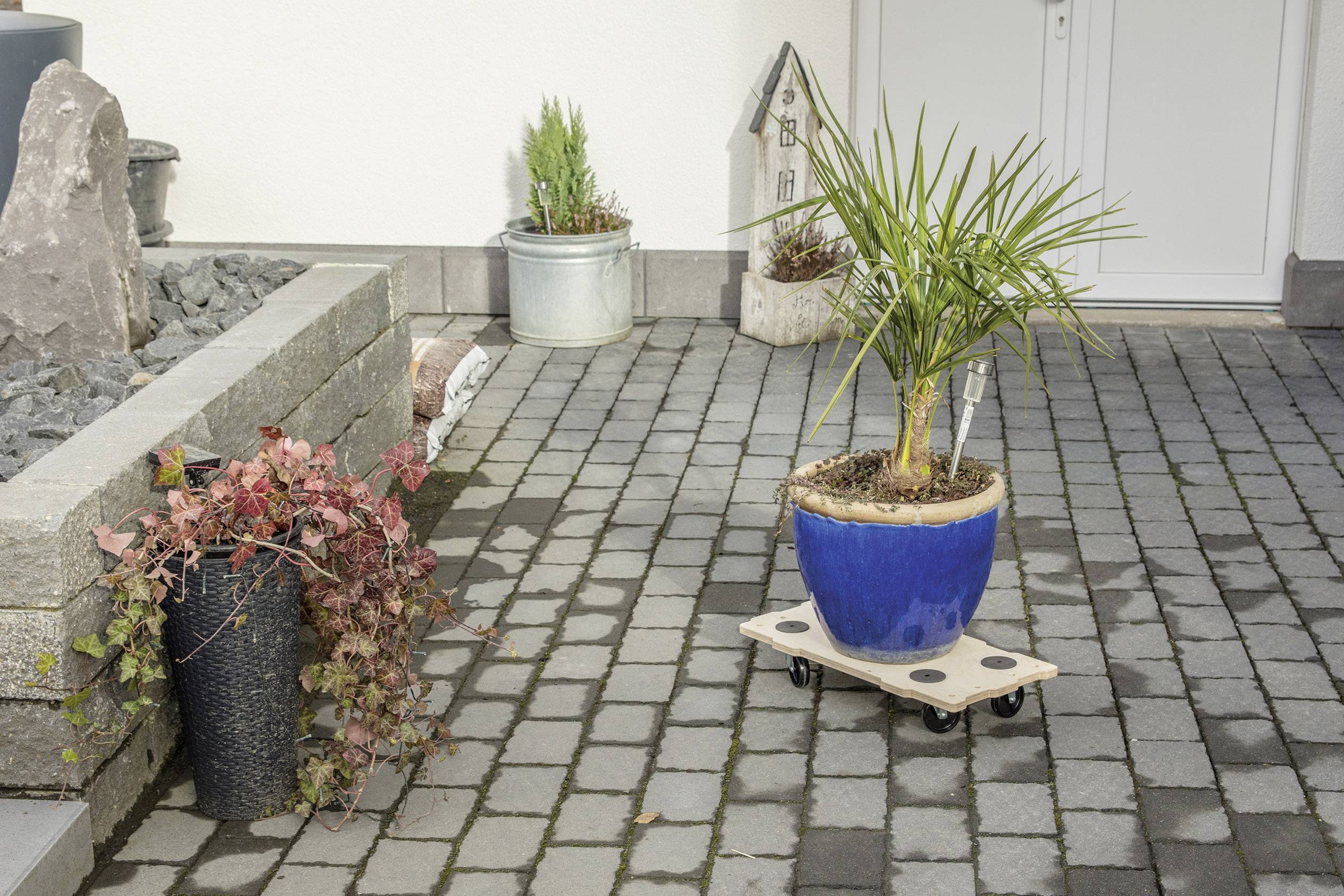 Roślina w niebieskiej doniczce na mobilnym podstawku na wyłożonej kostką brukową powierzchni, obok dwóch pozostałych pojemników na rośliny i elementów dekoracyjnych.