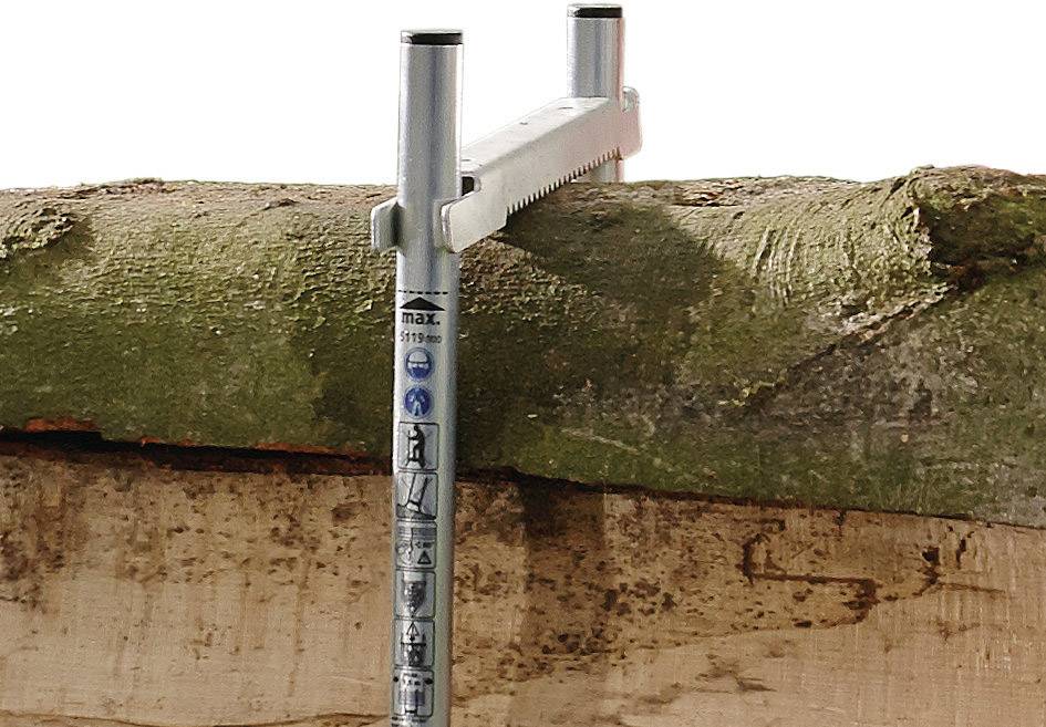 Drewno jest cięte ręczną piłą, która posiada metalowe ostrze i uchwyt. Drewno ma szorstką korę.