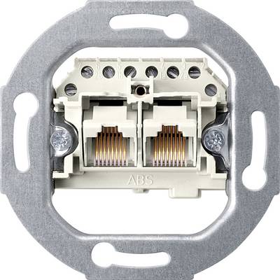 Dwie gniazda RJ45 w kwadratowej metalowej obudowie, wyposażone w złącza śrubowe, przeznaczone do połączeń sieciowych.