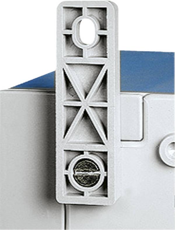 Schneider Electric NSYPFPLMG Wall mount 4 x poliamid szaro-biały (ral 7035) 1 szt.