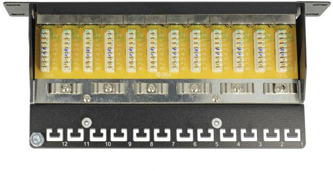 Panel krosowy z dwunastoma polami opisowymi i ponumerowanymi gniazdami do połączeń kablowych, przeznaczony do zarządzania sieciami.