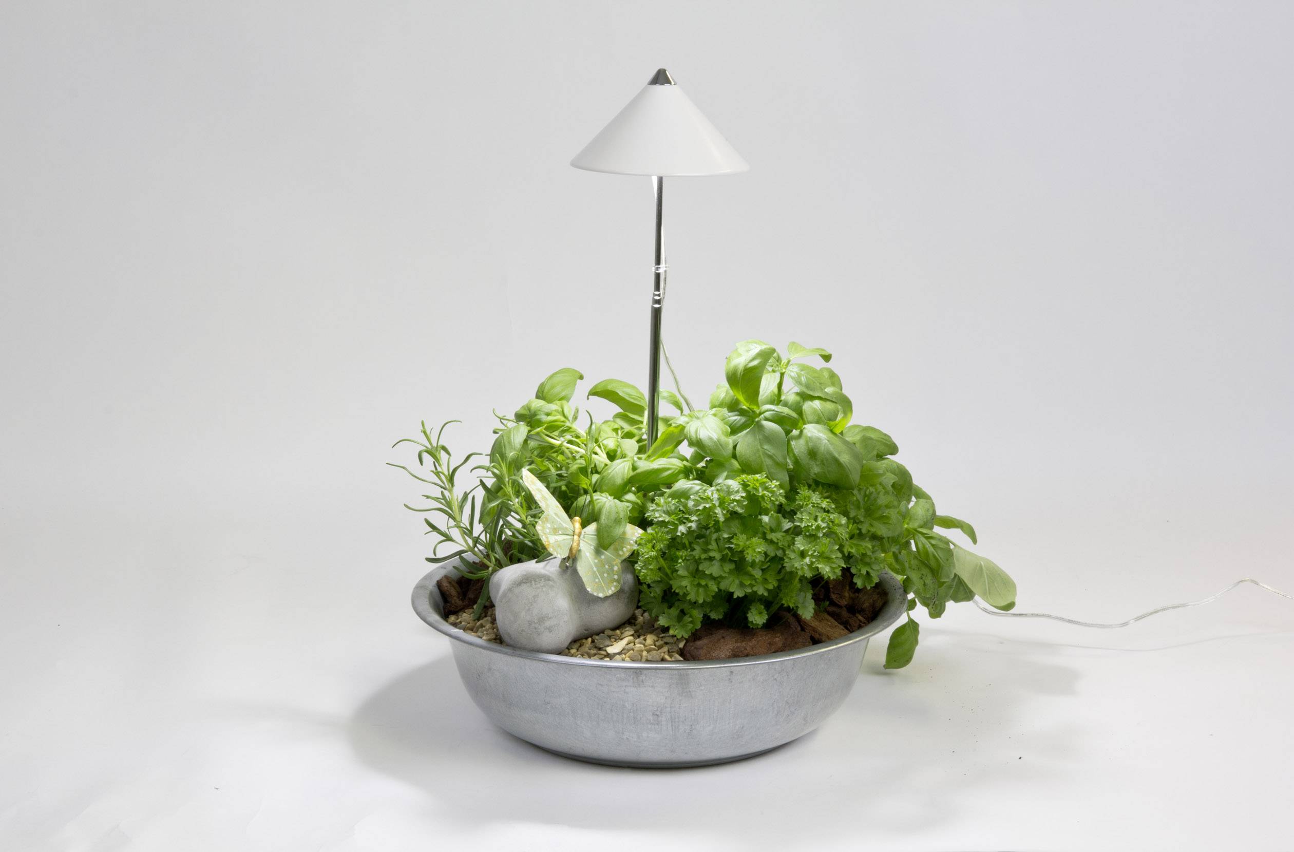 Світлодіодний світильник для рослин Venso E504 110 SUNLiTE 230 V LED постійно вбудований 7 Вт 1 шт.