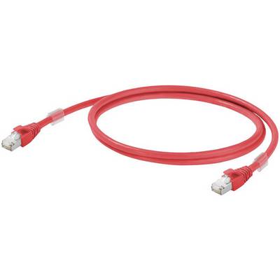 Czerwony kabel sieciowy z wtykami RJ45 na obu końcach, typowy dla połączeń Ethernet w sieciach komputerowych.