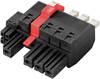 Weidmüller 1547590000 Obudowa złącza pin męskiego na kabel BVFL 7.62HP/04/180MF4 BCF/04R SN BK BX, piny: 4, 35 A, 24 szt.