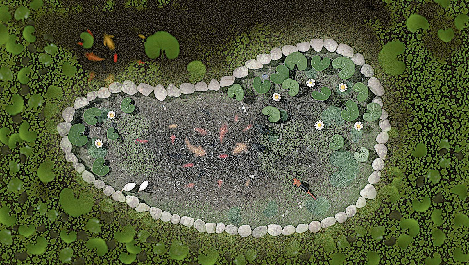 Садовий ставок, Busch 1210, масштаб H0